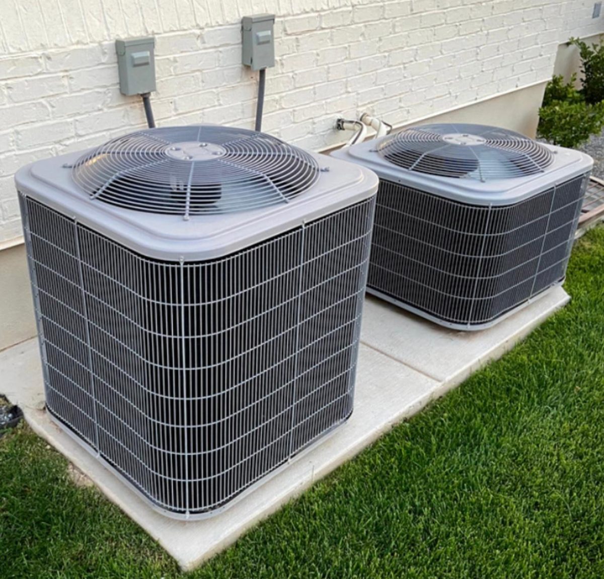 WhatsApp Image 2025-06-21 at 16.48.42_56015a24