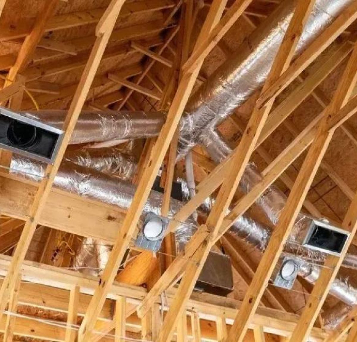 WhatsApp Image 2025-07-03 at 12.29.54_e5009c02